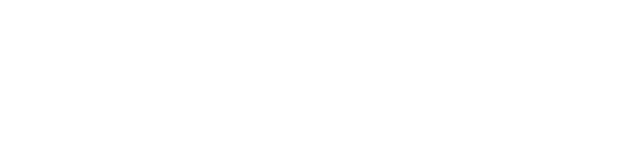 Logo Intertrack